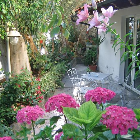 Hotel Europa Ischia Dış mekan fotoğraf